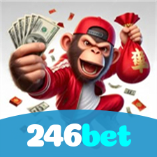 Segurança no 246bet