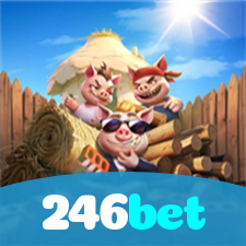 Login no 246bet