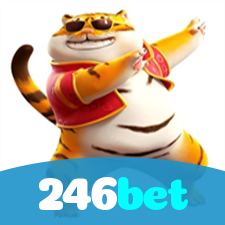 Problemas de Login no 246bet